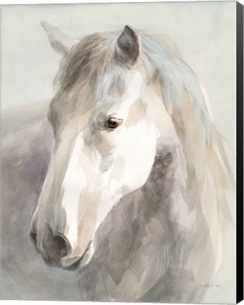 Framed Gentle Horse Crop Print