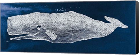 Framed Whale on Blue Print