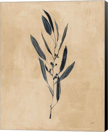 Framed Botanical Study I Brown Print