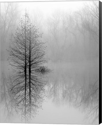 Framed Lake Trees in Winter Fog Print