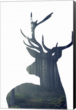 Framed Forest Deer Silhouette Print