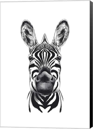 Framed Zebra Illustration Print