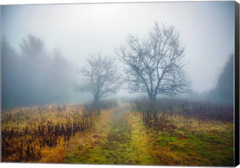 Framed Magic Meadow Apples Print