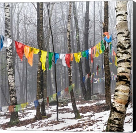 Framed Prayer Flags, Woodstock, NY Print