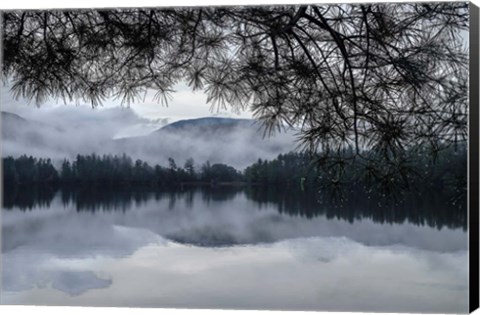 Framed Rainy Day Cooper Lake Print