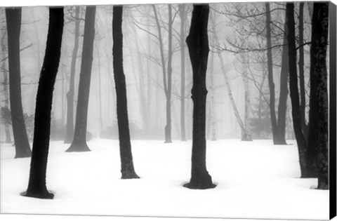 Framed Winter Fog Print