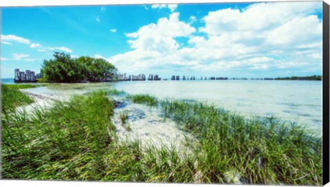 Framed Tropical Coastline Print