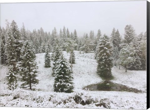 Framed Dusting of Snow Print