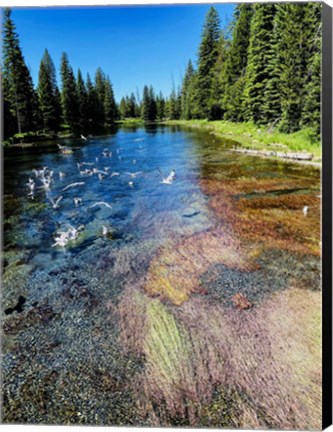 Framed Peaceful Stream Print