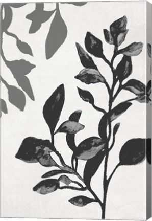 Framed Botanical In Noir I Print