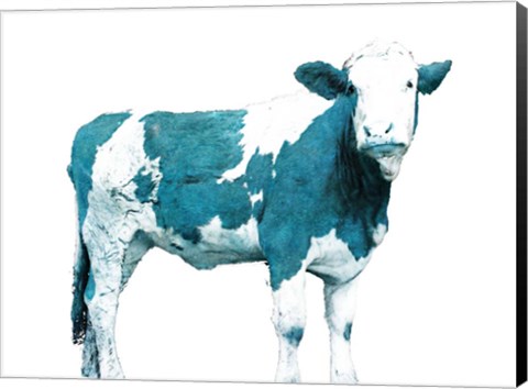 Framed Blue Swiss Cow Print