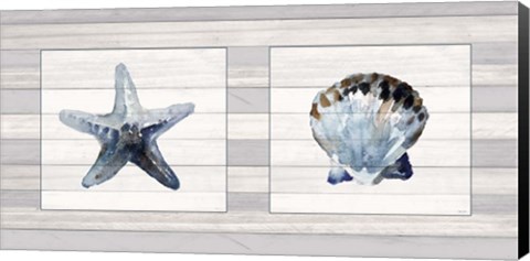Framed Starfish &amp; Shell Duo Print