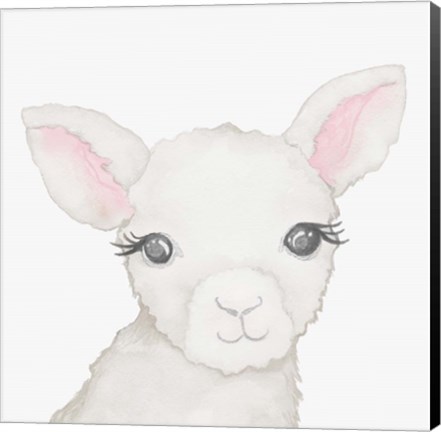 Framed Baby Lamb Print