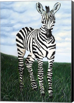 Framed At Attention Zebra Print