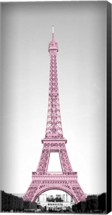 Framed Pretty Paris Blush Print