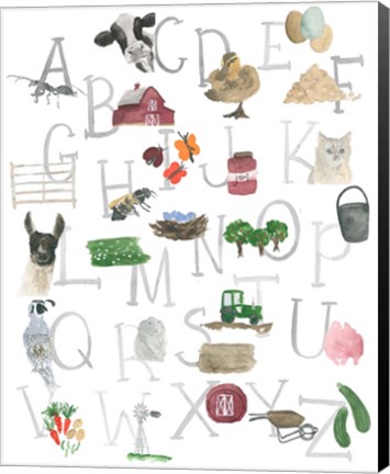 Framed Farm Alphabet Print