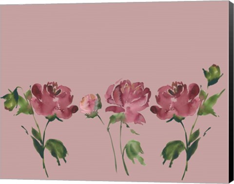 Framed Trio Of Peonies Print