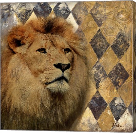 Framed Golden Safari IV (Lion) Print