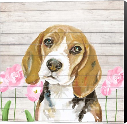 Framed Beagle With Flowers Print