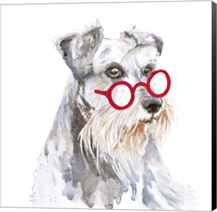 Framed Schnauzer With Glasses Print