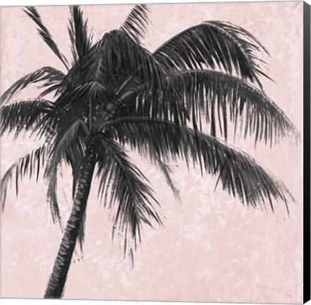 Framed Gray Palm on Pink I Print