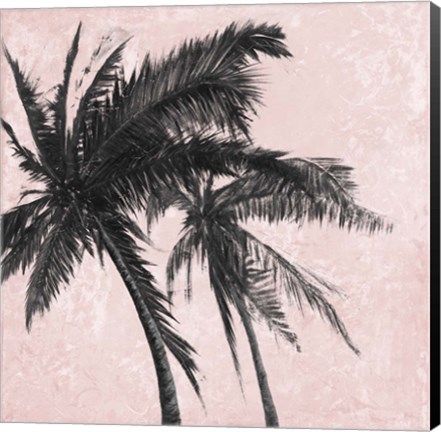 Framed Gray Palm on Pink II Print