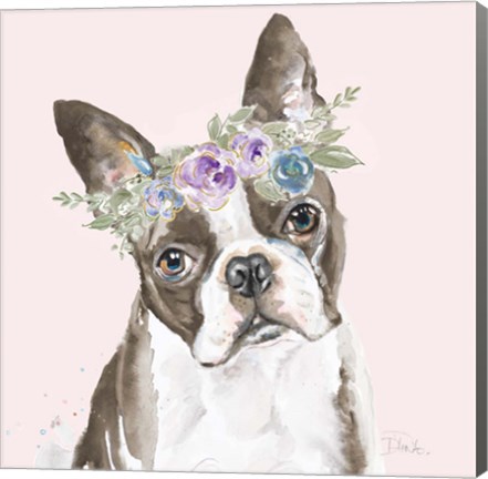 Framed Flower Crown Pet III Print