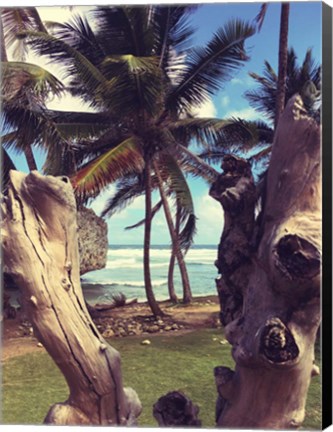 Framed Oceanside Palms Print