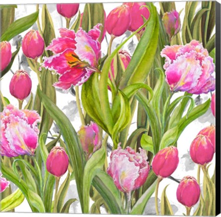 Framed Tulip Symphony I Print