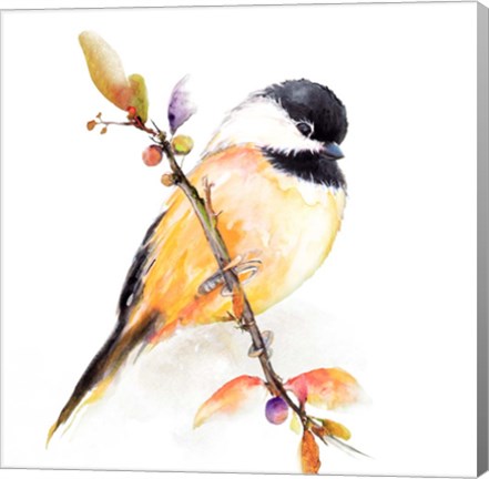 Framed Watercolor Chickadee I Print