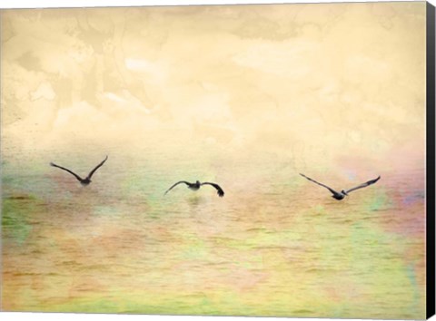 Framed Seagulls In The Sky I Print