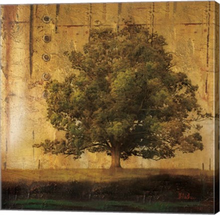 Framed Aged Tree I Print