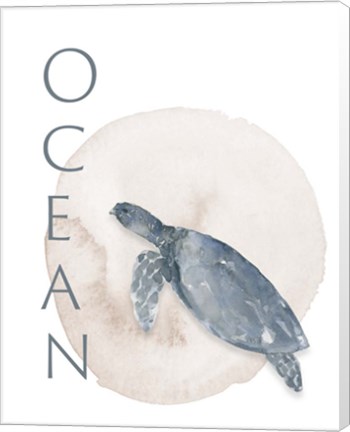 Framed Ocean Turtle Print