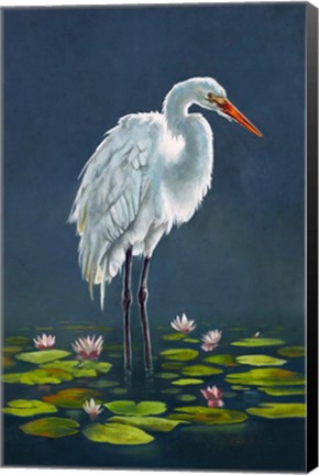 Framed Egret Amongst The Lily Pads Print