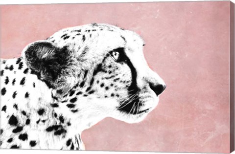 Framed Wild Print