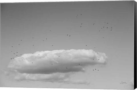 Framed Flock in Flight Print