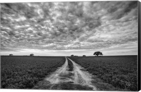 Framed Farm Road Print