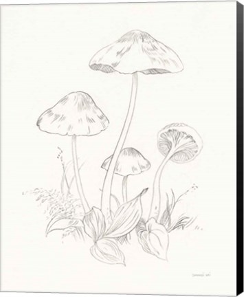 Framed Nature Sketchbook III Print