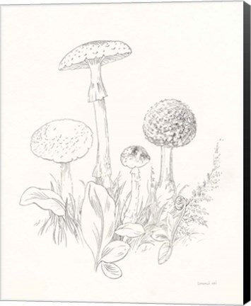 Framed Nature Sketchbook II Print