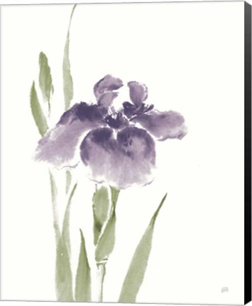 Framed Japanese Iris III Purple Crop Print