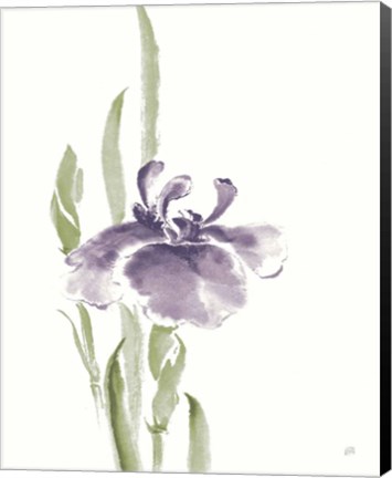 Framed Japanese Iris II Purple Crop Print