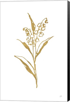 Framed Gold Line Lily of the Valley II Print