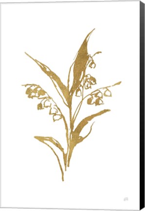 Framed Gold Line Lily of the Valley I Print