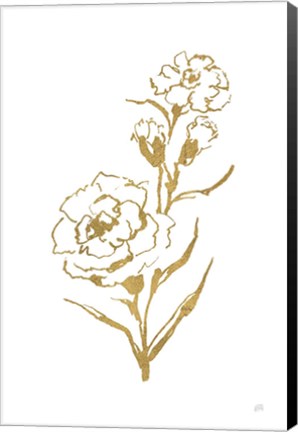 Framed Gold Line Carnation III Print