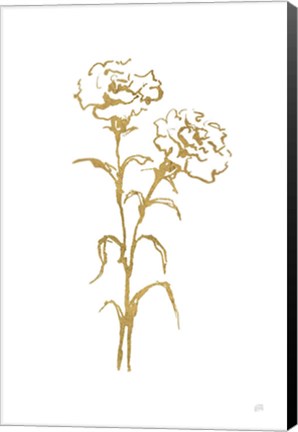 Framed Gold Line Carnation II Print