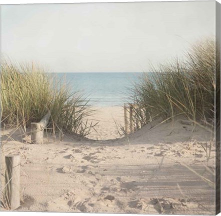 Framed Beach Grasses Print