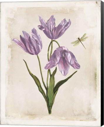 Framed Antiquarian Blooms III Purple Print