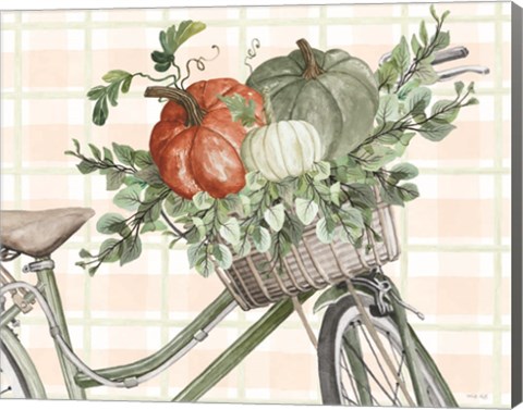 Framed Bountiful Basket on a Bike II Print