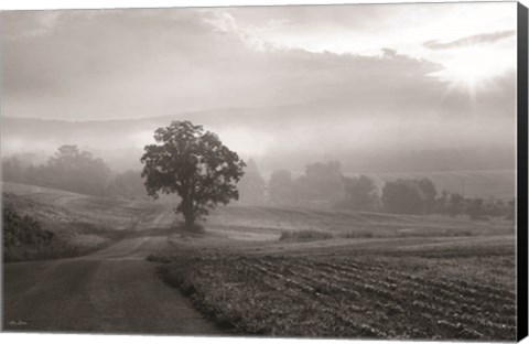 Framed Morning Haze II Print