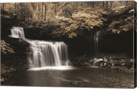 Framed Golden Waterfall I Print